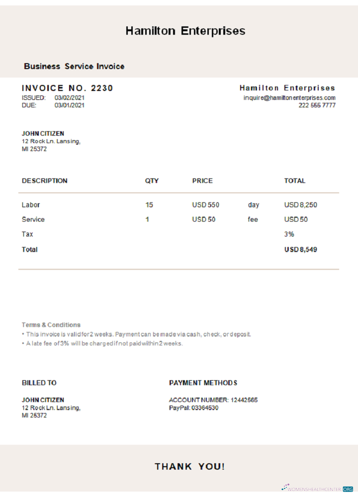 Download USA Hamilton Enterprises invoice Photoshop template